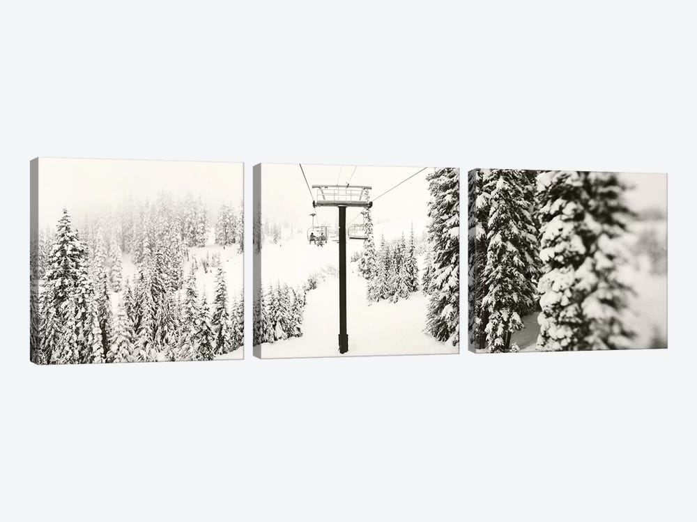 Chair lift and snowy evergreen trees at Stevens Pass, Washington State, USA by Panoramic Images 3-piece Canvas Art