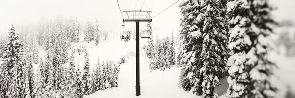 Washington: Chair lift and snowy evergreen trees II, Stevens Pass, Washington State, USA by Panoramic Images