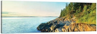 Coastline, Acadia National Park, Maine, USA Canvas Art Print - Maine