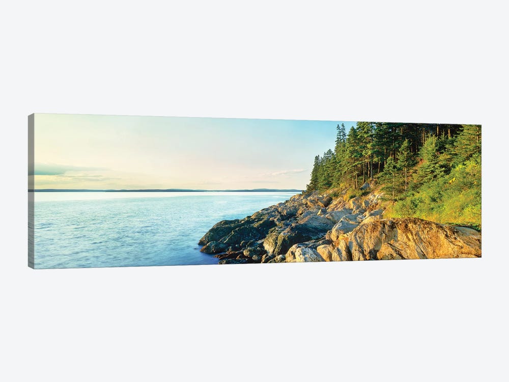 Coastline, Acadia National Park, Maine, USA by Panoramic Images 1-piece Canvas Art