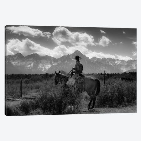 Cowboy on Cattle Drive Gather Angus/Hereford cross cows and calves, San Juan Mountains, Colorado Canvas Print #PIM15459} by Panoramic Images Canvas Art Print