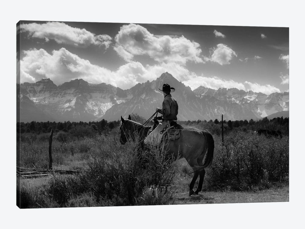 Cowboy on Cattle Drive Gather Angus/Hereford cross cows and calves, San Juan Mountains, Colorado by Panoramic Images 1-piece Art Print