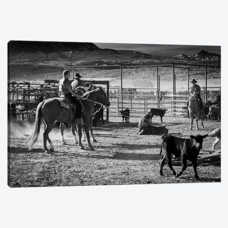 Cowboys Branding Cattle Off Route 46, Near Colorado-Utah Border Canvas Print #PIM15460} by Panoramic Images Canvas Art