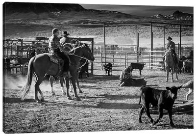 Cowboys Branding Cattle Off Route 46, Near Colorado-Utah Border Canvas Art Print - Utah Art