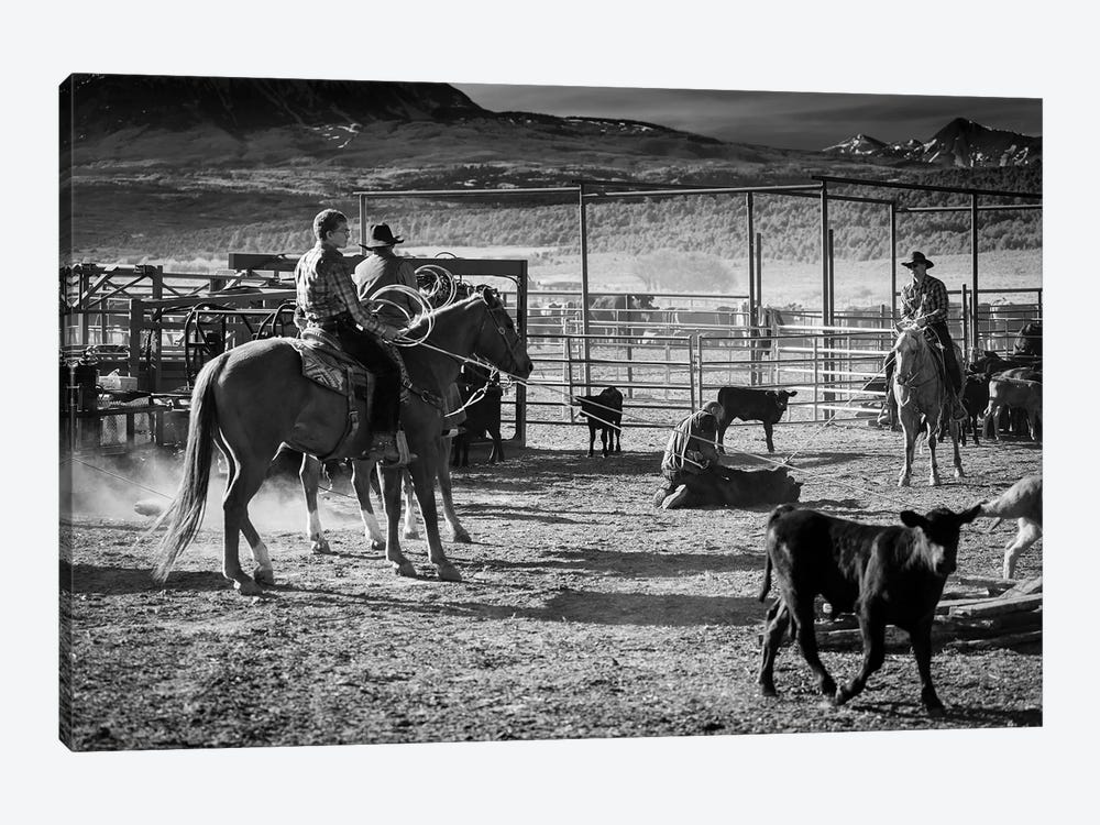Cowboys Branding Cattle Off Route 46, Near Colorado-Utah Border by Panoramic Images 1-piece Art Print
