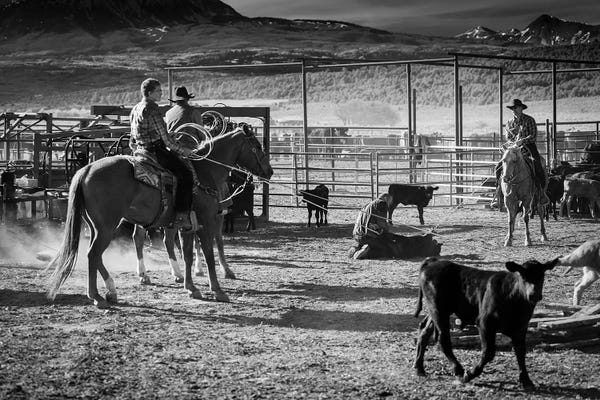 Utah: Cowboys Branding Cattle Off Route 46, Near Colorado-Utah Border by Panoramic Images