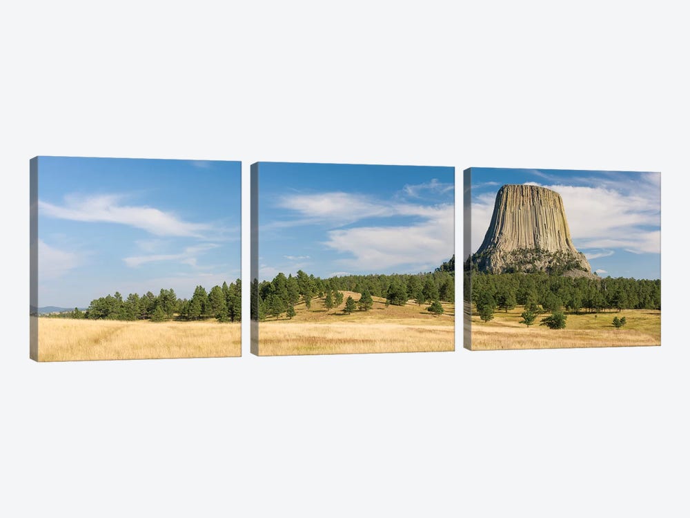 Devils Tower seen from Joyner Ridge Trail, Devils Tower National Monument, Wyoming, USA by Panoramic Images 3-piece Canvas Art