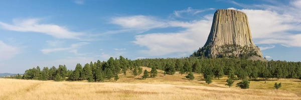 Wyoming: Devils Tower seen from Joyner Ridge Trail, Devils Tower National Monument, Wyoming, USA by Panoramic Images