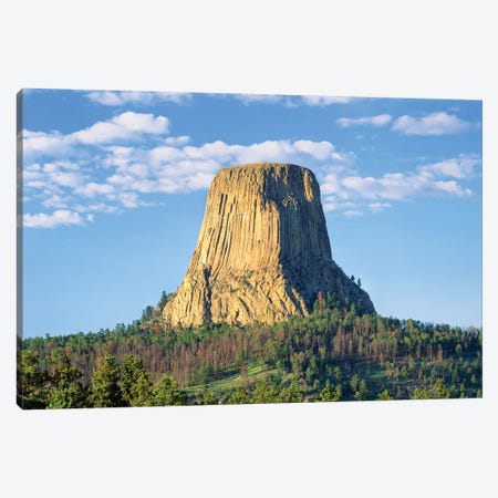 Devils Tower, Devils Tower National Monument, Wyoming, USA Canvas Print #PIM15464} by Panoramic Images Canvas Art Print