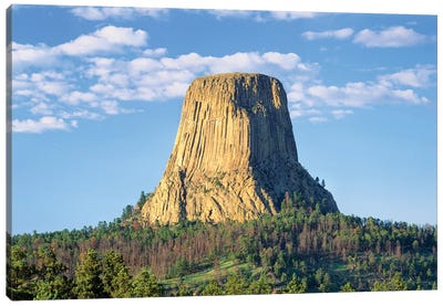 Devils Tower, Devils Tower National Monument, Wyoming, USA Canvas Art Print - Wyoming Art