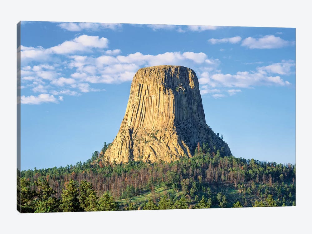 Devils Tower, Devils Tower National Monument, Wyoming, USA by Panoramic Images 1-piece Art Print