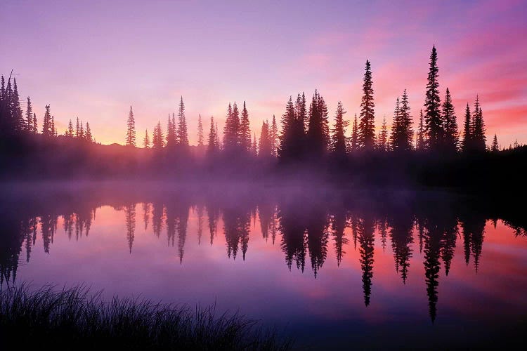 Fir trees reflect in Reflection Lake at sunrise, Mt. Rainier National Park, Washington, USA