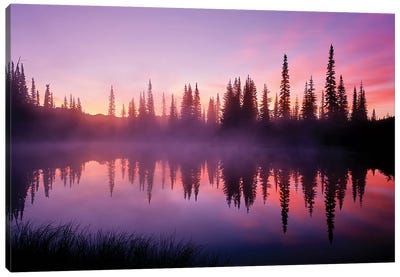 Fir trees reflect in Reflection Lake at sunrise, Mt. Rainier National Park, Washington, USA Canvas Art Print - Mount Rainier National Park Art