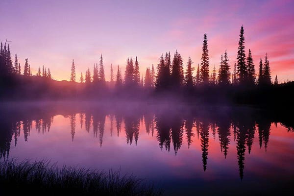 Mount Rainier National Park: Fir trees reflect in Reflection Lake at sunrise, Mt. Rainier National Park, Washington, USA by Panoramic Images