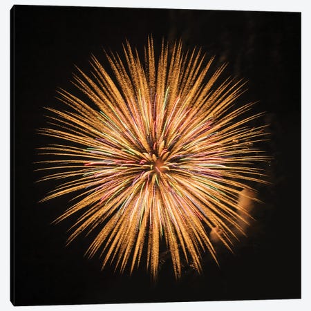 Fireworks display, Puget Sound, Washington State, USA Canvas Print #PIM15484} by Panoramic Images Canvas Print