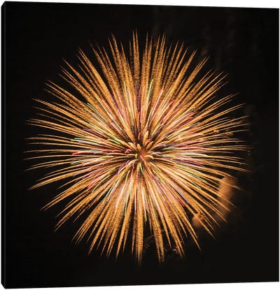 Fireworks display, Puget Sound, Washington State, USA Canvas Art Print - Fireworks