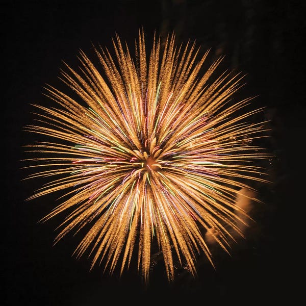 Fireworks: Fireworks display, Puget Sound, Washington State, USA by Panoramic Images
