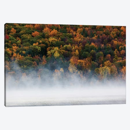 Fog over trees, Keuka Lake Vineyard, Hammondsport, Finger Lakes Region, New York State, USA Canvas Print #PIM15492} by Panoramic Images Canvas Print