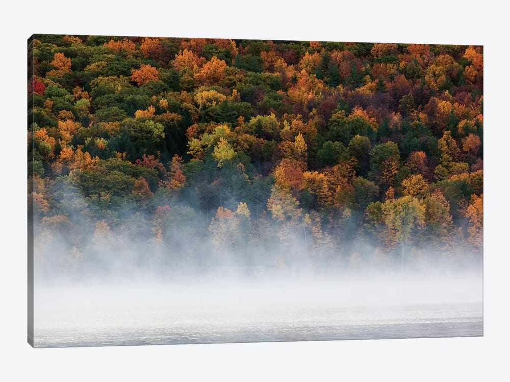 Fog over trees, Keuka Lake Vineyard, Hammondsport, Finger Lakes Region, New York State, USA by Panoramic Images 1-piece Canvas Wall Art