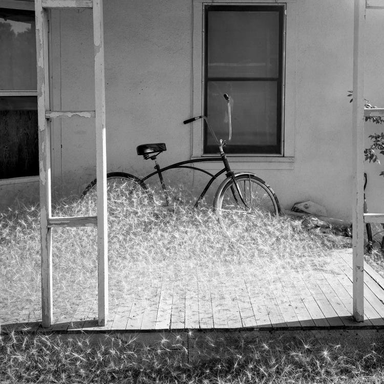 Heap of milkweed seeds and a bicycle in a porch, Taos, New Mexico, USA