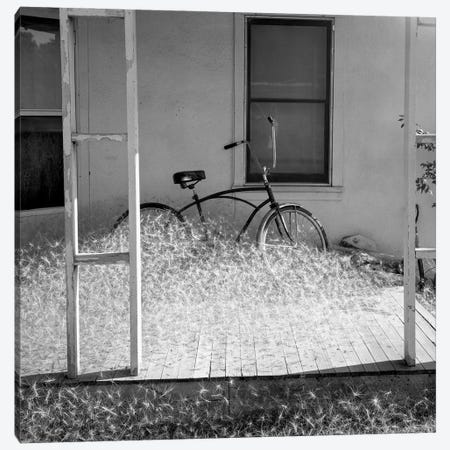 Heap of milkweed seeds and a bicycle in a porch, Taos, New Mexico, USA Canvas Print #PIM15504} by Panoramic Images Canvas Wall Art