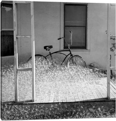 Heap of milkweed seeds and a bicycle in a porch, Taos, New Mexico, USA Canvas Art Print