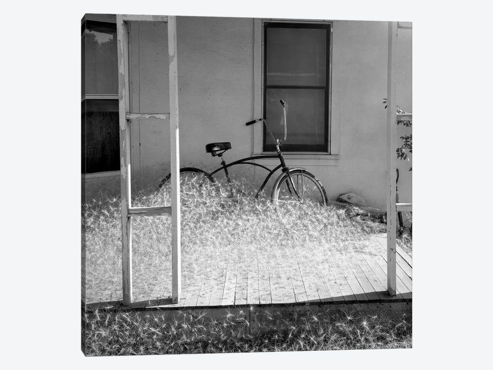 Heap of milkweed seeds and a bicycle in a porch, Taos, New Mexico, USA by Panoramic Images 1-piece Canvas Artwork