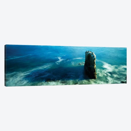 High angle view of a rock formation in the sea, Santa Cruz, California, USA Canvas Print #PIM15507} by Panoramic Images Canvas Art