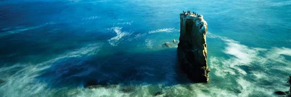 Santa Cruz: High angle view of a rock formation in the sea, Santa Cruz, California, USA by Panoramic Images