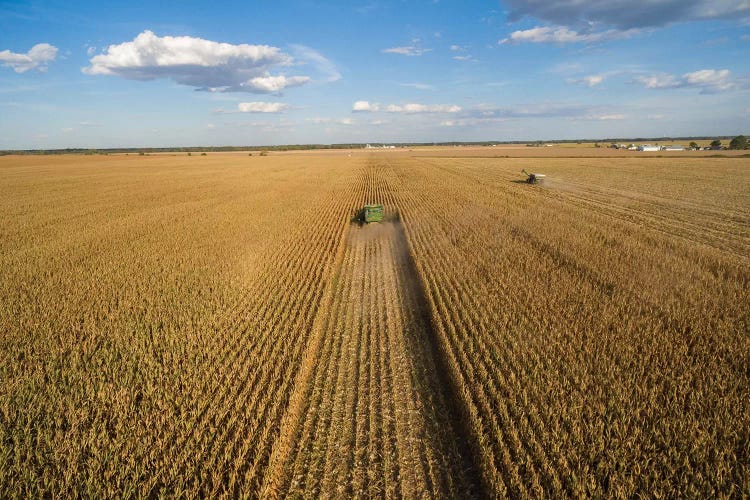 High angle view of combine harvesting corn crop, Marion County, Illinois, USA