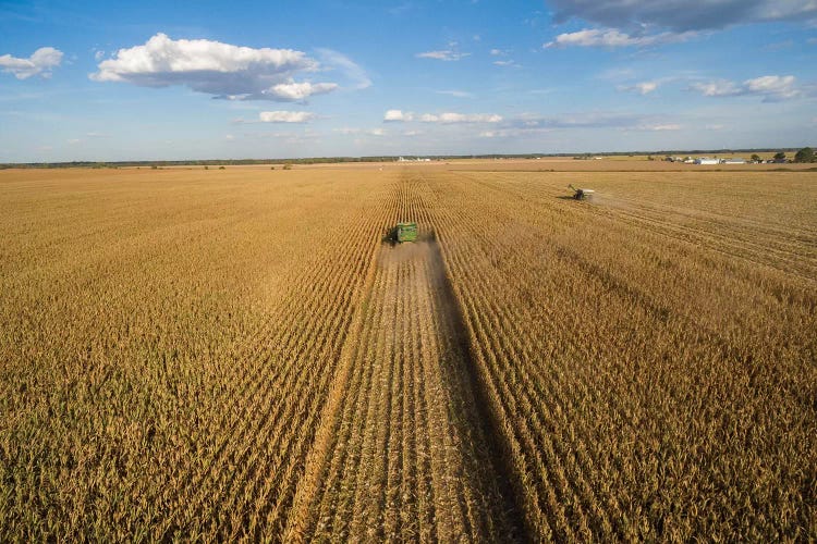 High angle view of combine harvesting corn crop, Marion County, Illinois, USA