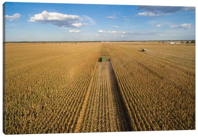 High angle view of combine harvesting corn crop, Marion County, Illinois, USA Canvas Art Print - Corn Art