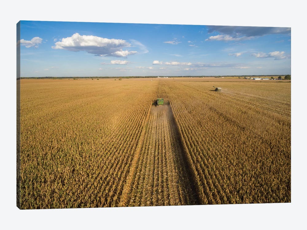 High angle view of combine harvesting corn crop, Marion County, Illinois, USA by Panoramic Images 1-piece Art Print