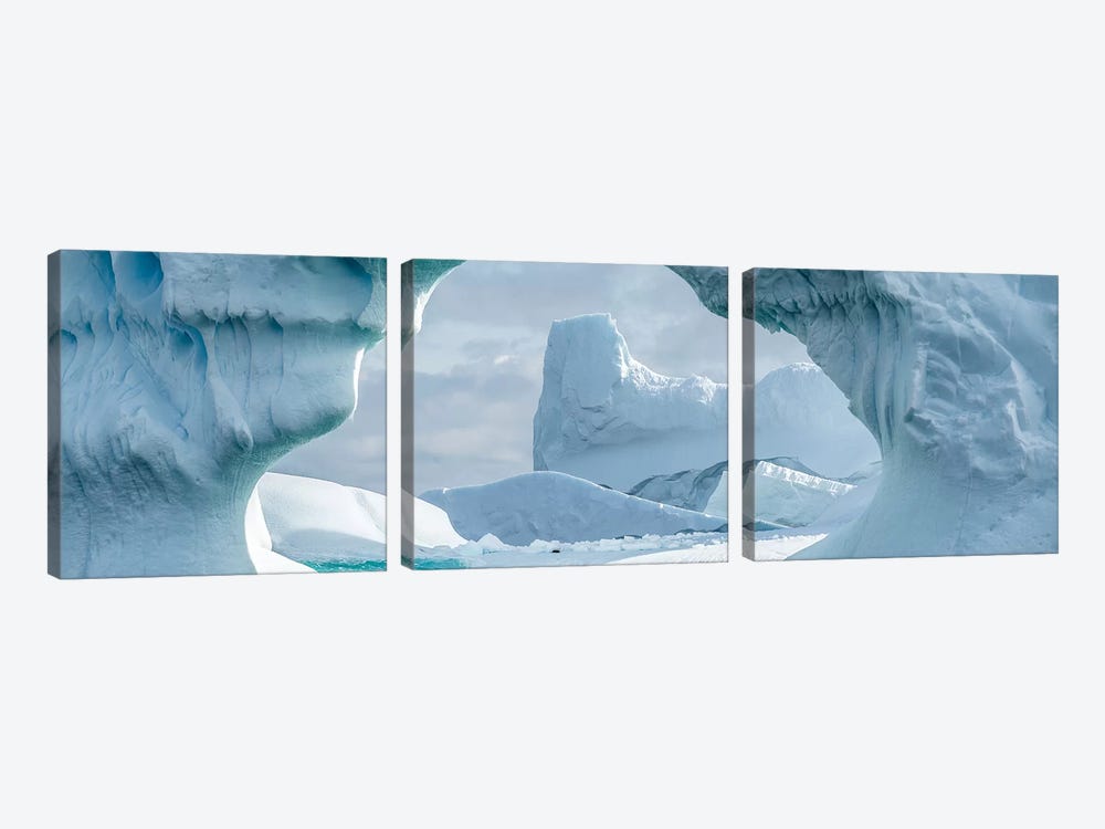 Iceberg floating in Southern Ocean, Antarctic Peninsula, Antarctica by Panoramic Images 3-piece Canvas Art Print