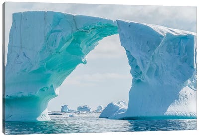 Iceberg floating in Southern Ocean, Antarctic Peninsula, Antarctica Canvas Art Print - Glacier & Iceberg Art
