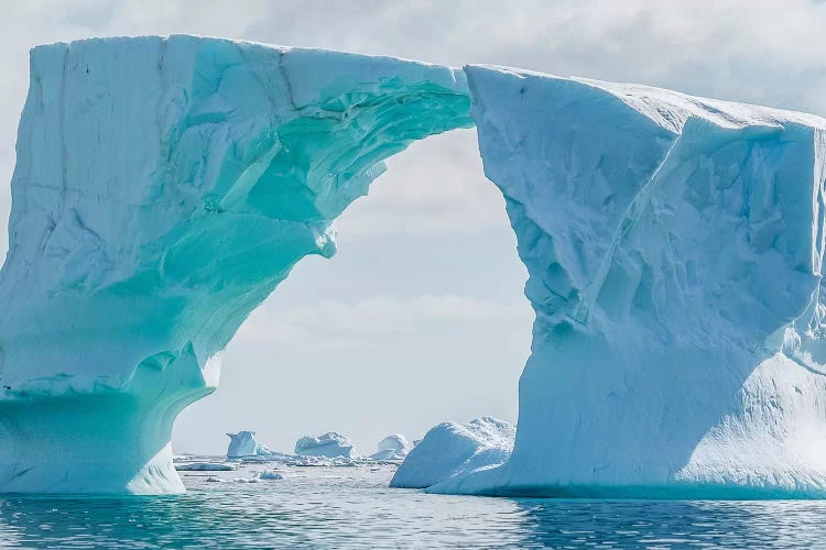 Iceberg floating in Southern Ocean, Antarctic Peninsula, Antarctica