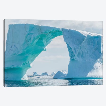Iceberg floating in Southern Ocean, Antarctic Peninsula, Antarctica Canvas Print #PIM15525} by Panoramic Images Canvas Art