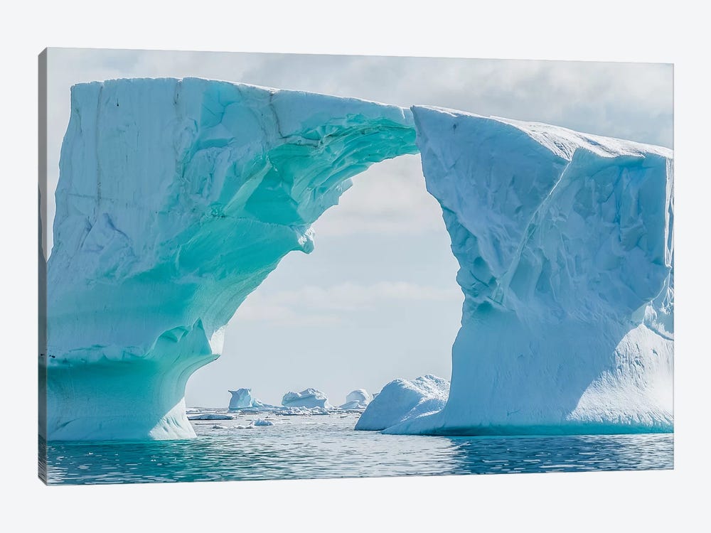 Iceberg floating in Southern Ocean, Antarctic Peninsula, Antarctica by Panoramic Images 1-piece Art Print