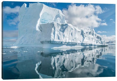 Icebergs floating in the Southern Ocean, Antarctic Peninsula, Antarctica Canvas Art Print - Antarctica Art