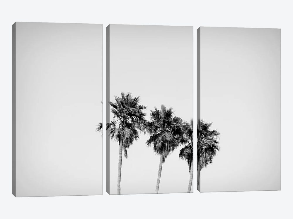 Low angle view of three palm trees, California, USA by Panoramic Images 3-piece Canvas Art