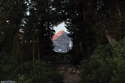 Mountain seen from trees, Rock Creek, Eastern Sierra Nevada, California, USA by Panoramic Images canvas print