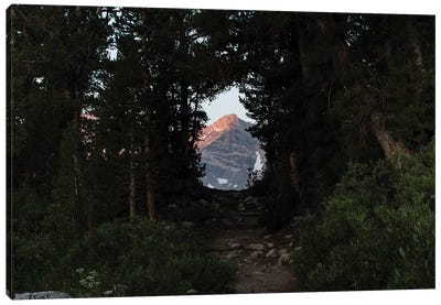 Mountain seen from trees, Rock Creek, Eastern Sierra Nevada, California, USA Canvas Art Print - Sierra Nevada Art