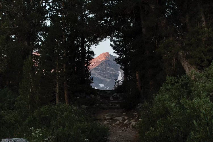 Mountain seen from trees, Rock Creek, Eastern Sierra Nevada, California, USA