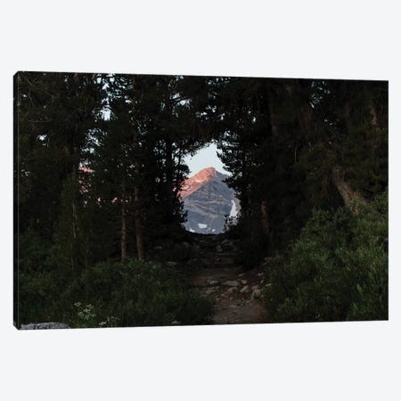 Mountain seen from trees, Rock Creek, Eastern Sierra Nevada, California, USA Canvas Print #PIM15603} by Panoramic Images Canvas Artwork