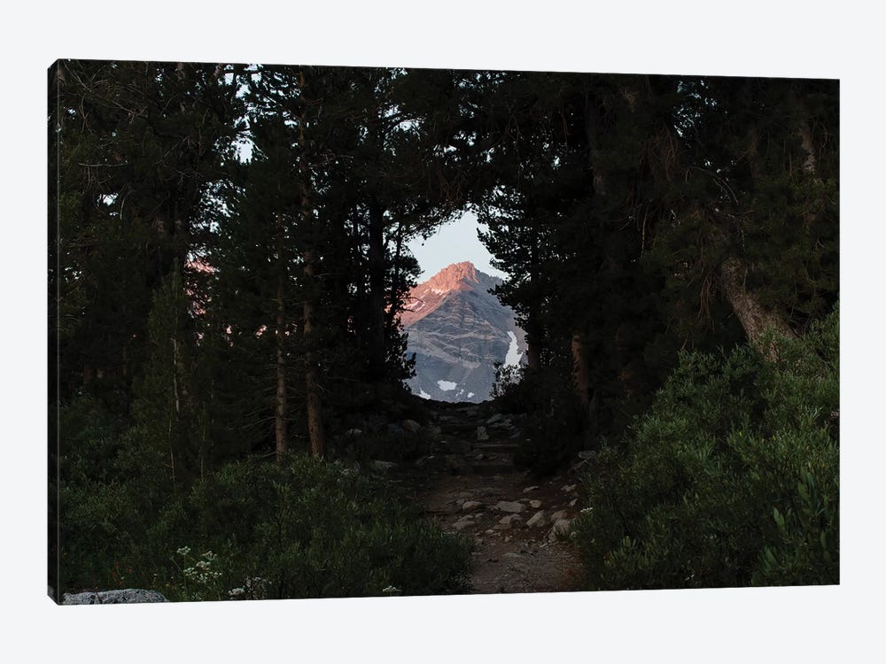 Mountain seen from trees, Rock Creek, Eastern Sierra Nevada, California, USA by Panoramic Images 1-piece Canvas Art Print