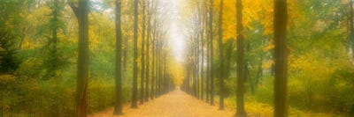 Path Schwetzingen Germany by Panoramic Images canvas print