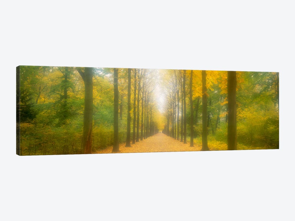 Path Schwetzingen Germany by Panoramic Images 1-piece Canvas Print