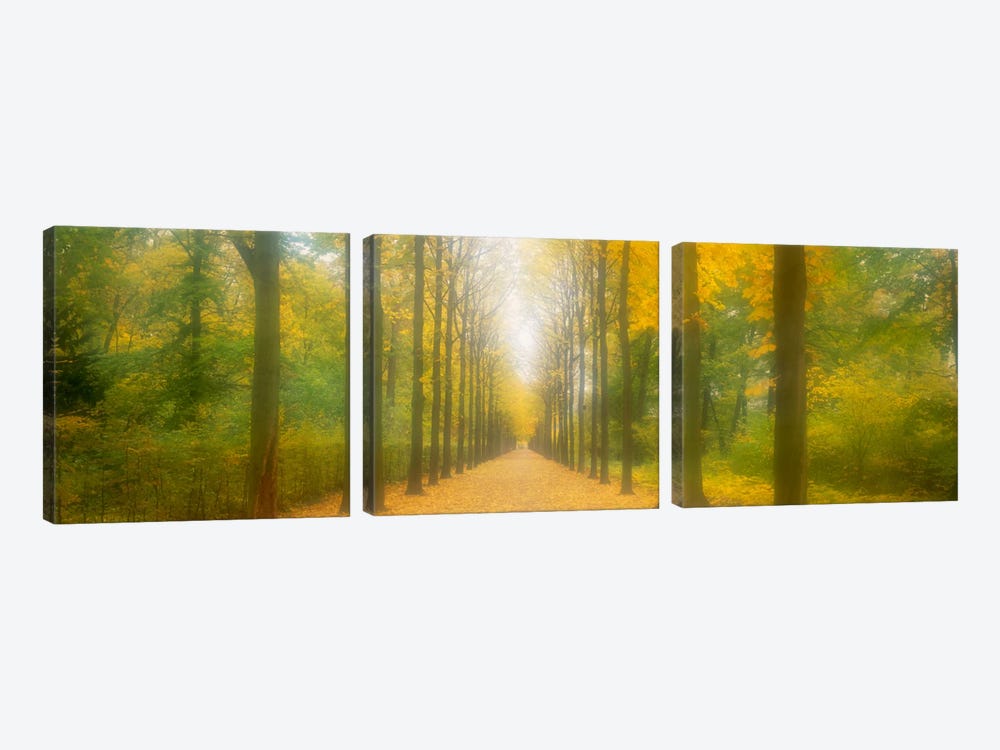 Path Schwetzingen Germany by Panoramic Images 3-piece Art Print