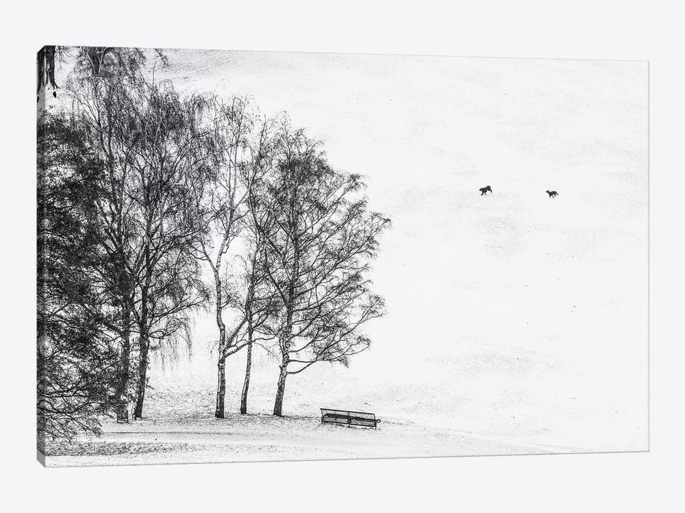 Olympia park in winter, Munich, Bavaria, Germany by Panoramic Images 1-piece Canvas Art