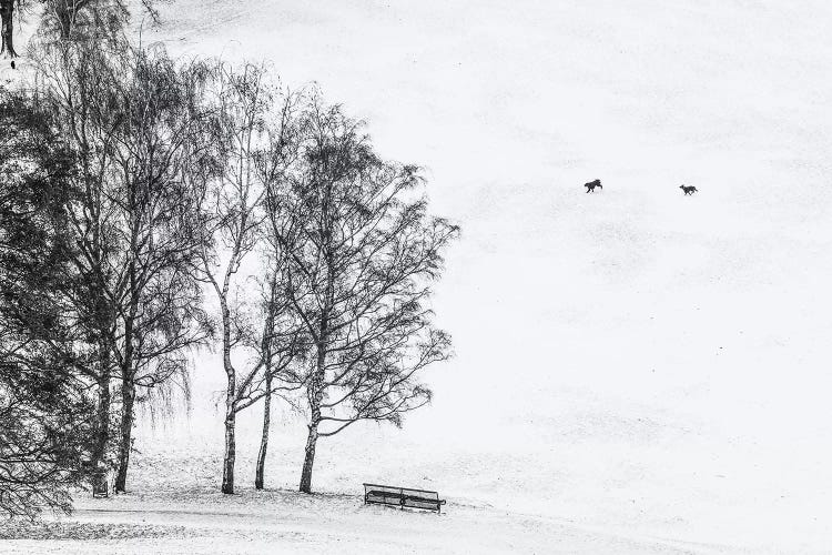 Olympia park in winter, Munich, Bavaria, Germany